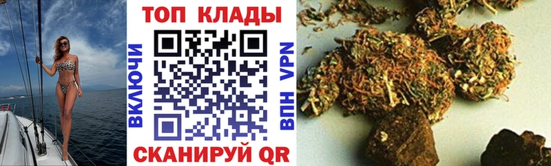 ГАШ Шенкурск