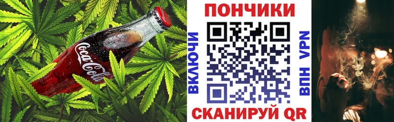 Canna-Cookies марихуана Шенкурск