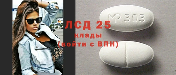 индика Баксан