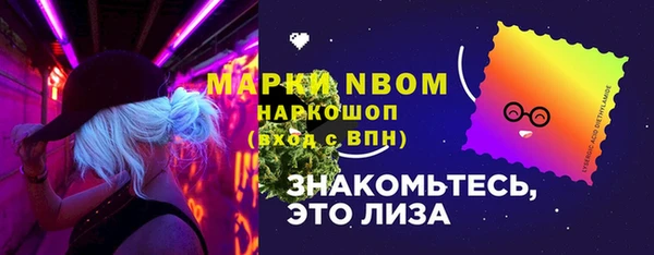 индика Баксан