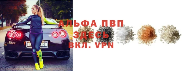 индика Баксан