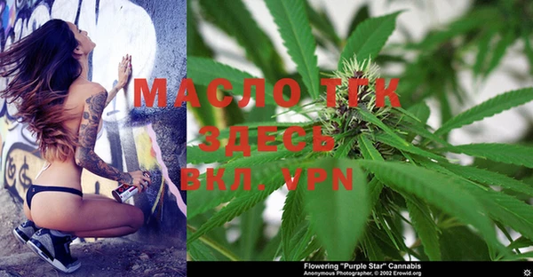 индика Баксан
