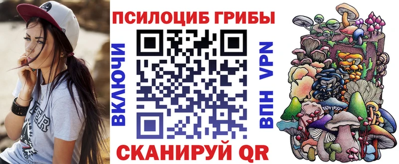 Псилоцибиновые грибы Psilocybine cubensis  Шенкурск 