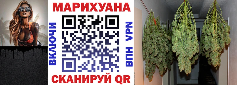 Бошки марихуана THC 21% darknet какой сайт Шенкурск